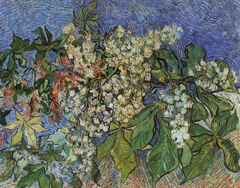 Vincent van Gogh Blossoming Chestnut Branches